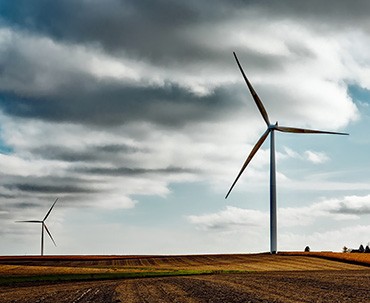 Gecko RECOMMENDED PRODUCT CLASSIFICATION